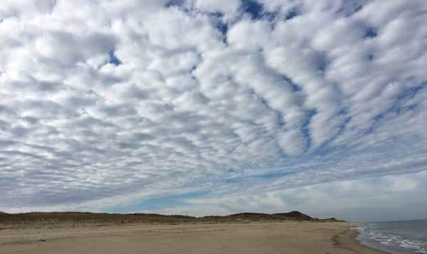 Altocumulus Clouds