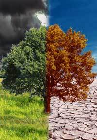 Difference Between Weather And Climate