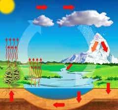 The Water Cycle The Water Cycle