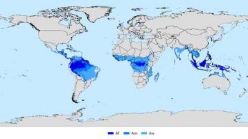 Köppen Climate Classification: Defining The Climate Zones Of The World