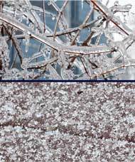 The-Difference-Between Freezing Rain And Sleet The-Difference-Between Freezing Rain And Sleet