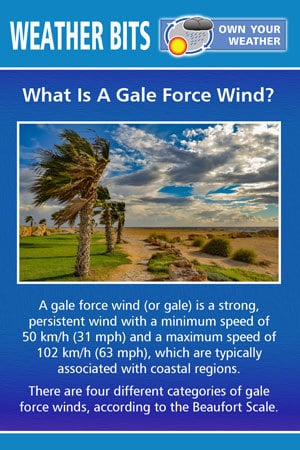 What Are Gale Force Winds