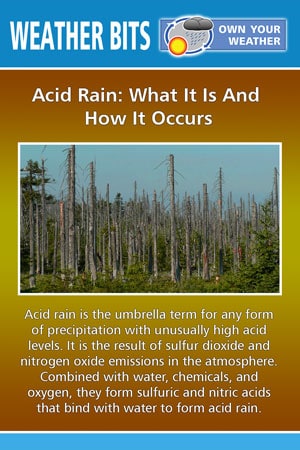 Acid Rain: What It Is And How It Occurs