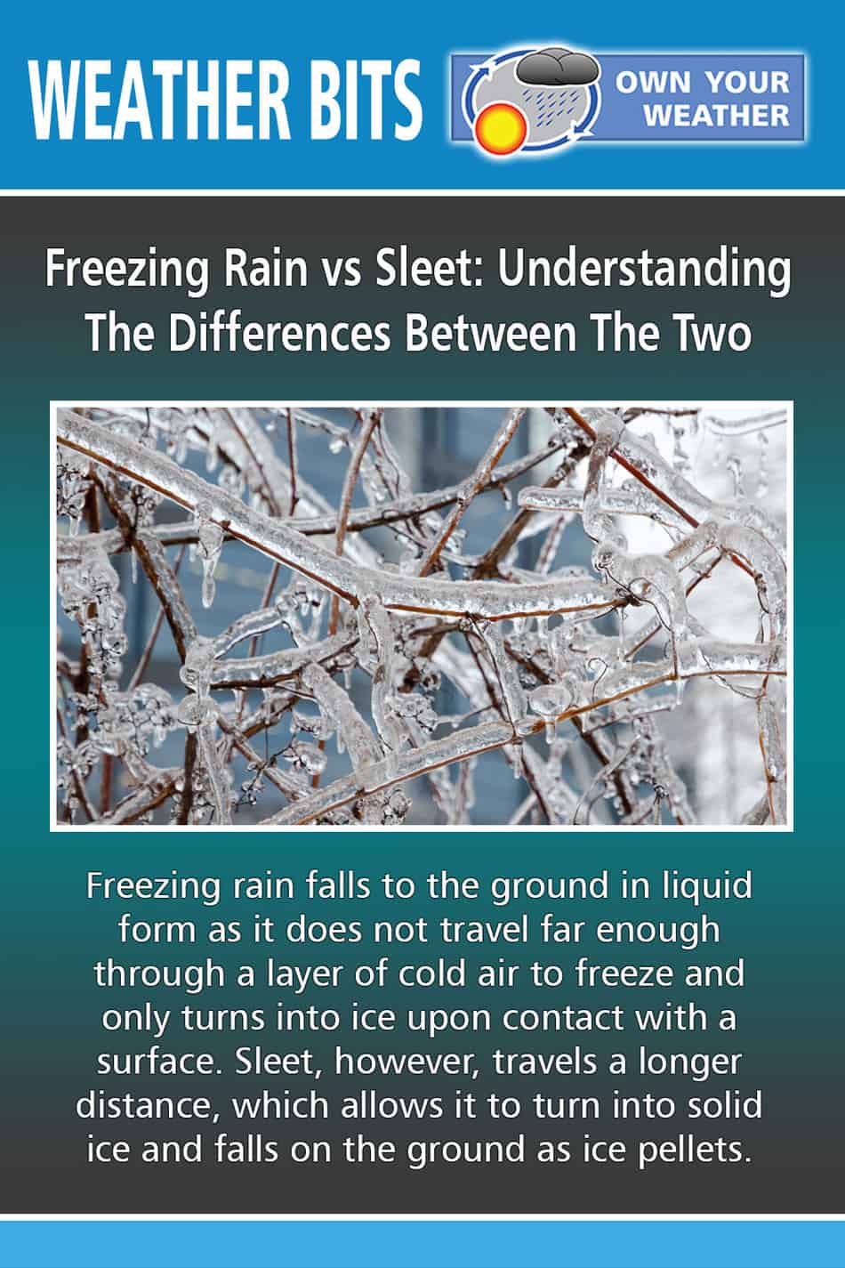 Freezing Rain vs Sleet: Understanding The Differences Between The Two