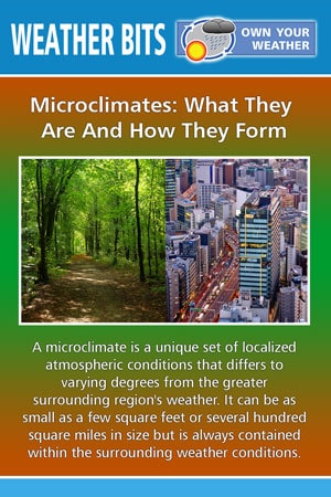 Microclimates: What They  Are And How They Form