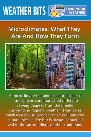 Microclimates: What They  Are And How They Form