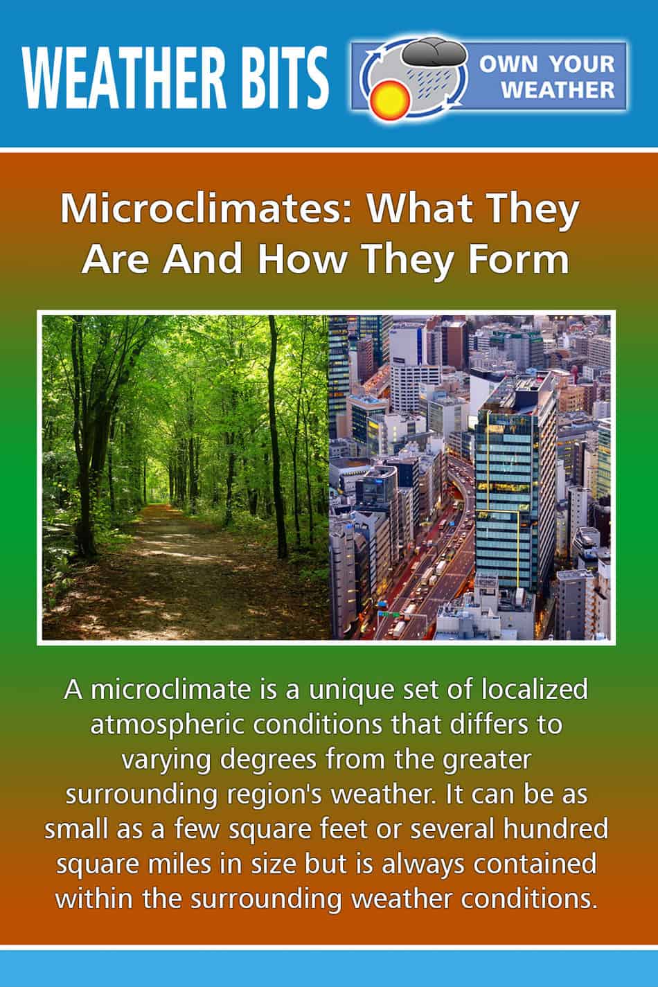 Microclimates: What They Are And How They Form