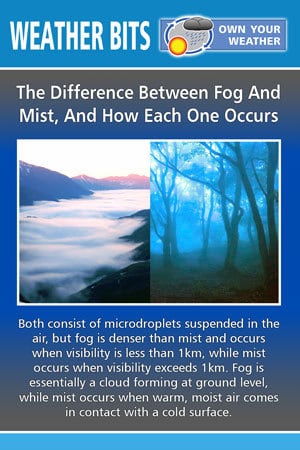 The Difference Between Fog And  Mist