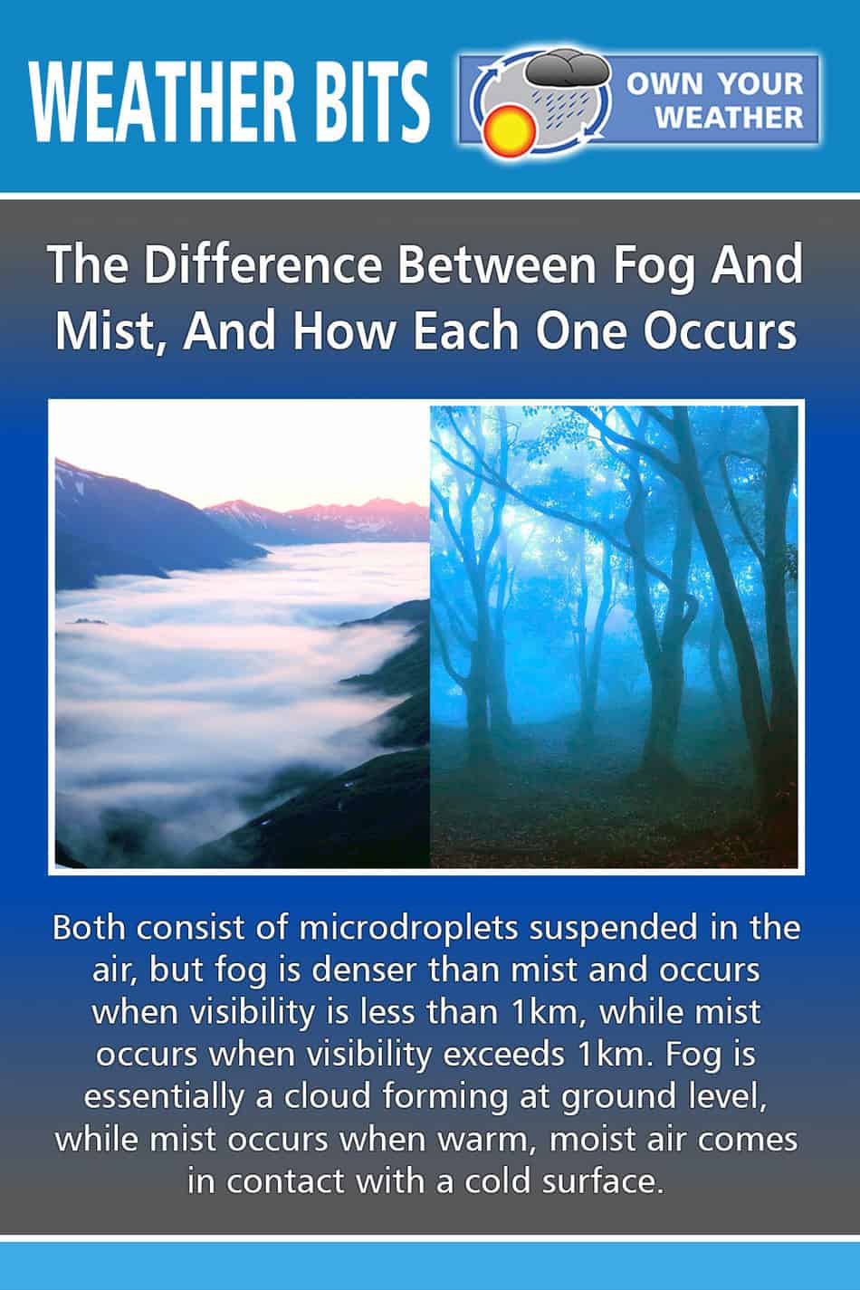 The Difference Between Fog And Mist