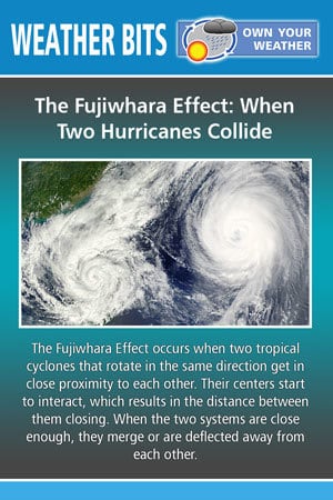 The Fujiwhara Effect
