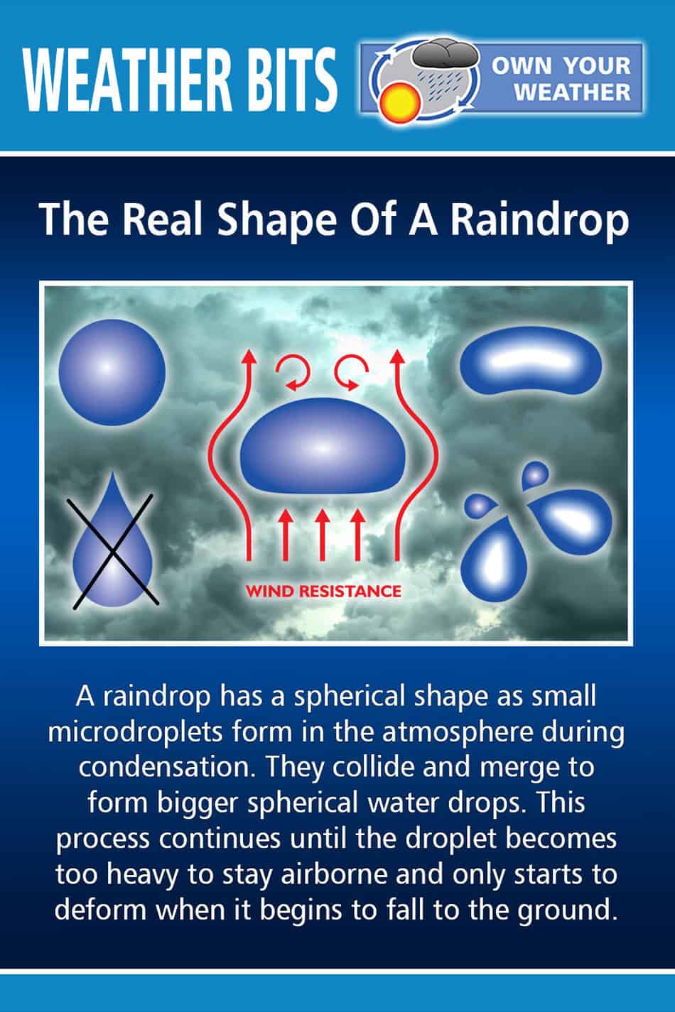 The Real Shape Of A Raindrop