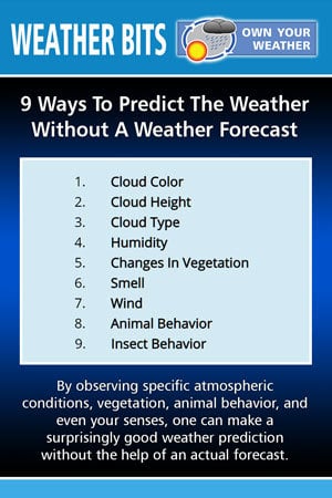 9 Ways To Predict The Weather Without A Weather Forecast