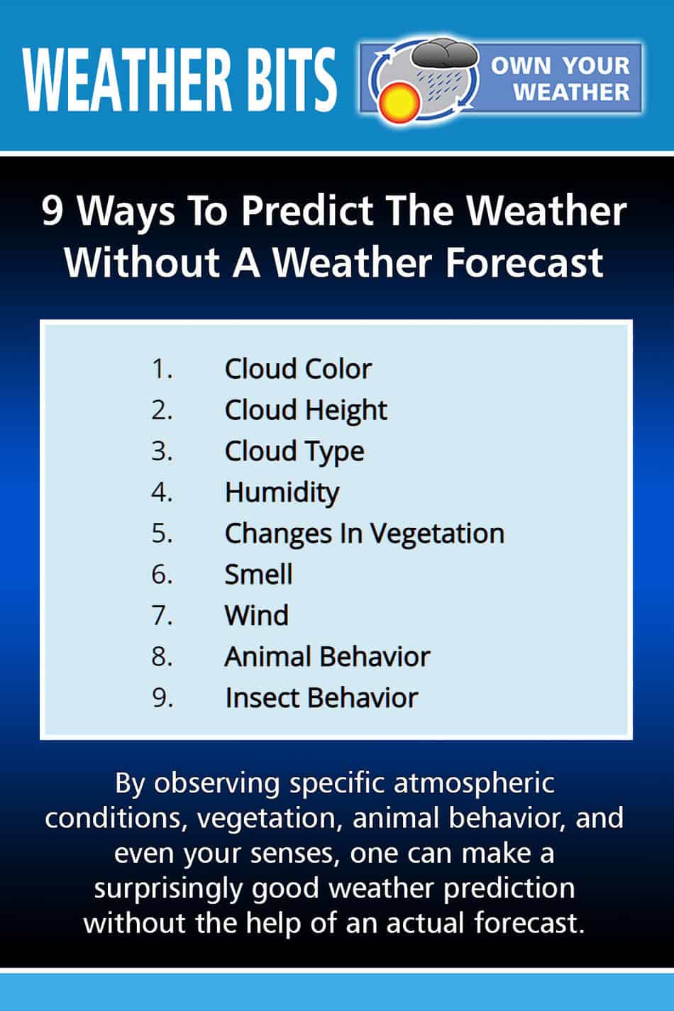 9 Ways To Predict The Weather Without A Weather Forecast