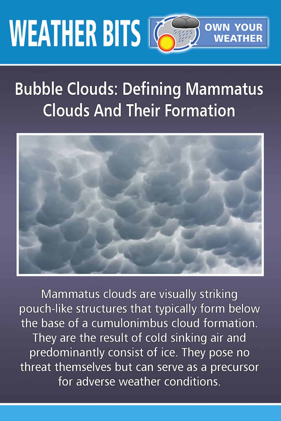 Bubble Clouds: Defining Mammatus Clouds And Their Formation