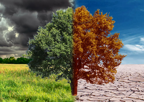 The Difference Between Weather and Climate
