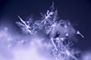 Snowflakes