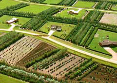Shelterbelts
