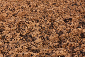 Soil Composition