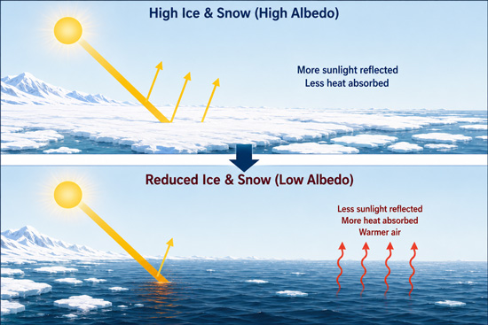Arctic Amplification Definition​​​​​​​​​​​​​​​​​​​​​​​​​​​