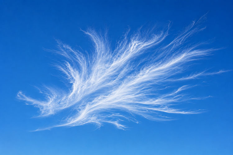 Cirrus Cloud Cirrus Cloud