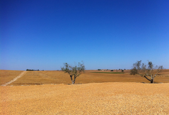 Desert Climate Definition​​​​​​​​​​