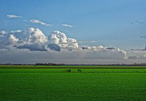 Flat Topography