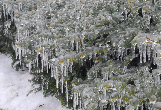 Freezing Rain Definition Freezing Rain Definition