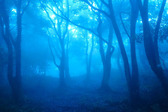 Mist Definition Mist Definition