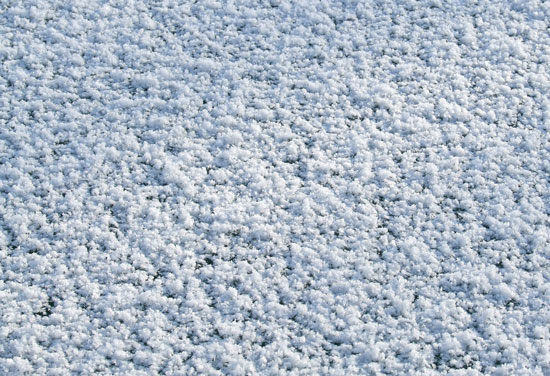 Snow Grains Definition Snow Grains Definition