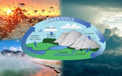 Evaporation And Condensation – What They Are, Their Differences, And Their Impact On Weather Conditions