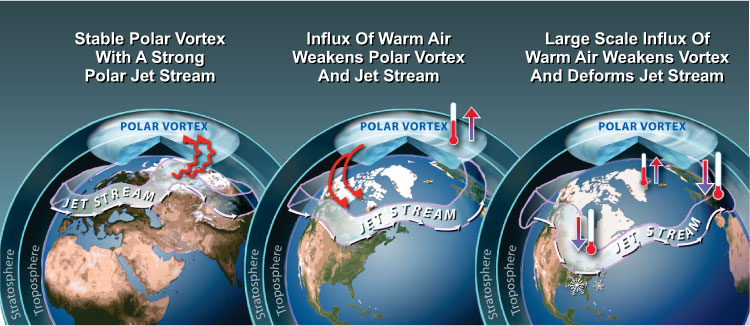 Polar Vortex Deformation